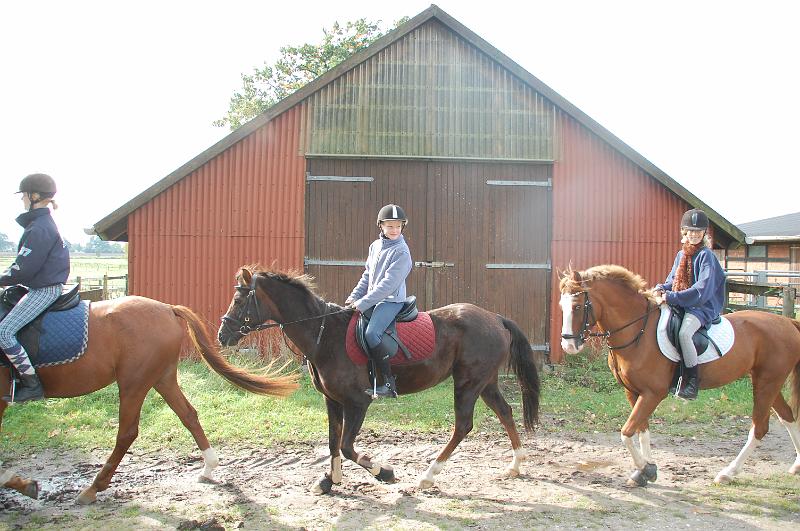 Tagesausritt Oktober 2008099.JPG